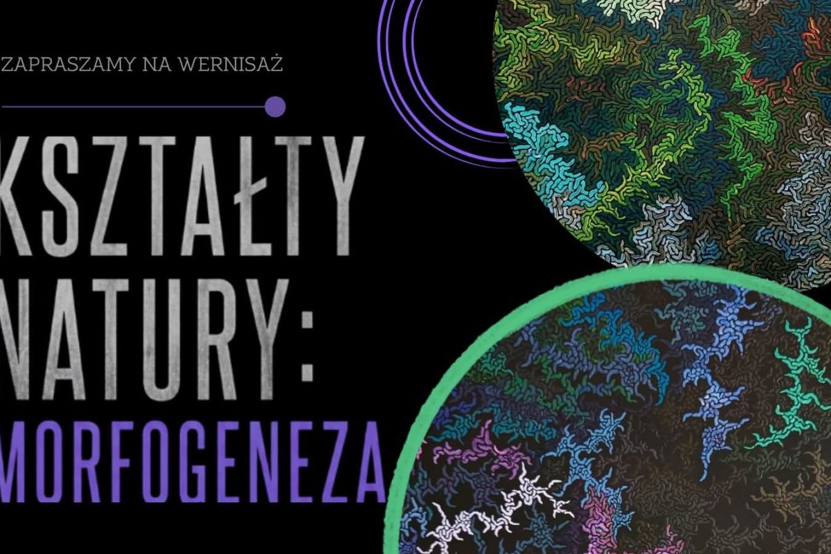 Zdjęcie do artykułu: Wernisaż wystawy D. Bisikiewicza „Kształty natury: Morfogeneza”