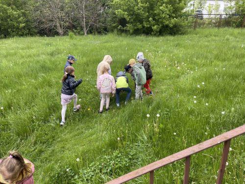 Łąka Naszymi Rękami - Warsztaty Przyrodniczo – Artystyczne