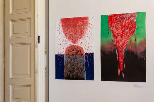 Migracje Transgraficzne i Grafika Gór