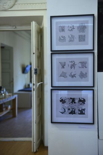 Migracje Transgraficzne i Grafika Gór