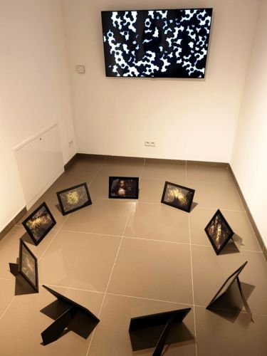 Wyjazd Studyjny - wernisaż wystawy