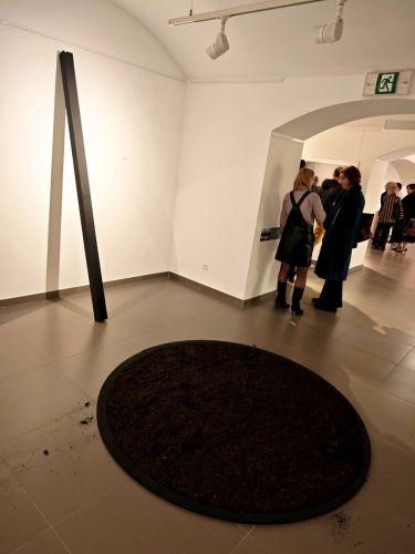 Wyjazd Studyjny - wernisaż wystawy